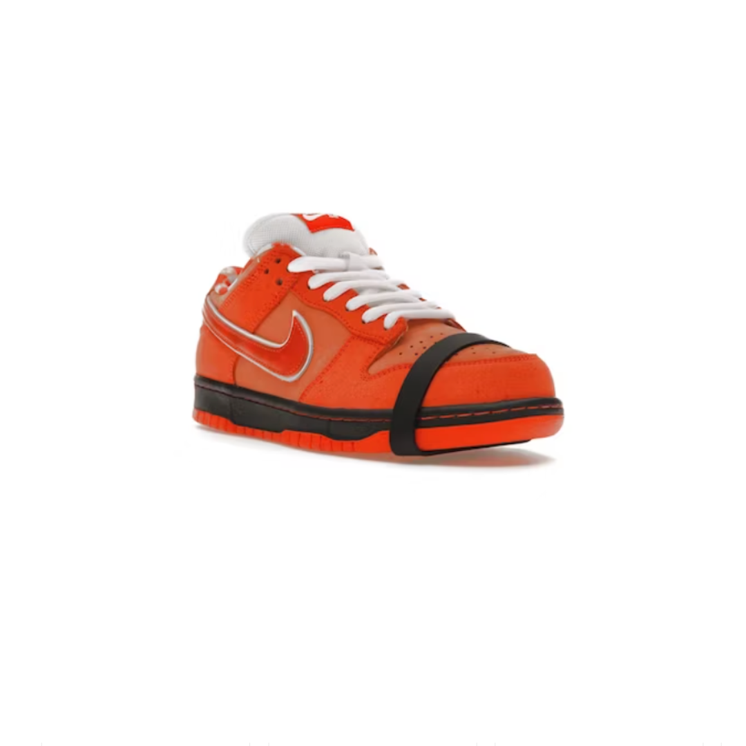 Nike 2025 sb ii